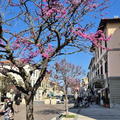 Toscana26 04 0008